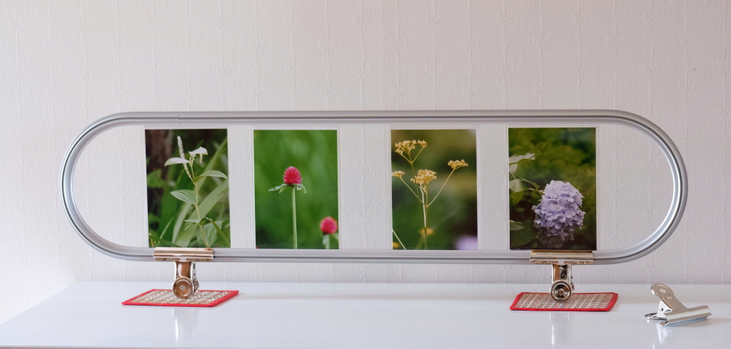 季節の花