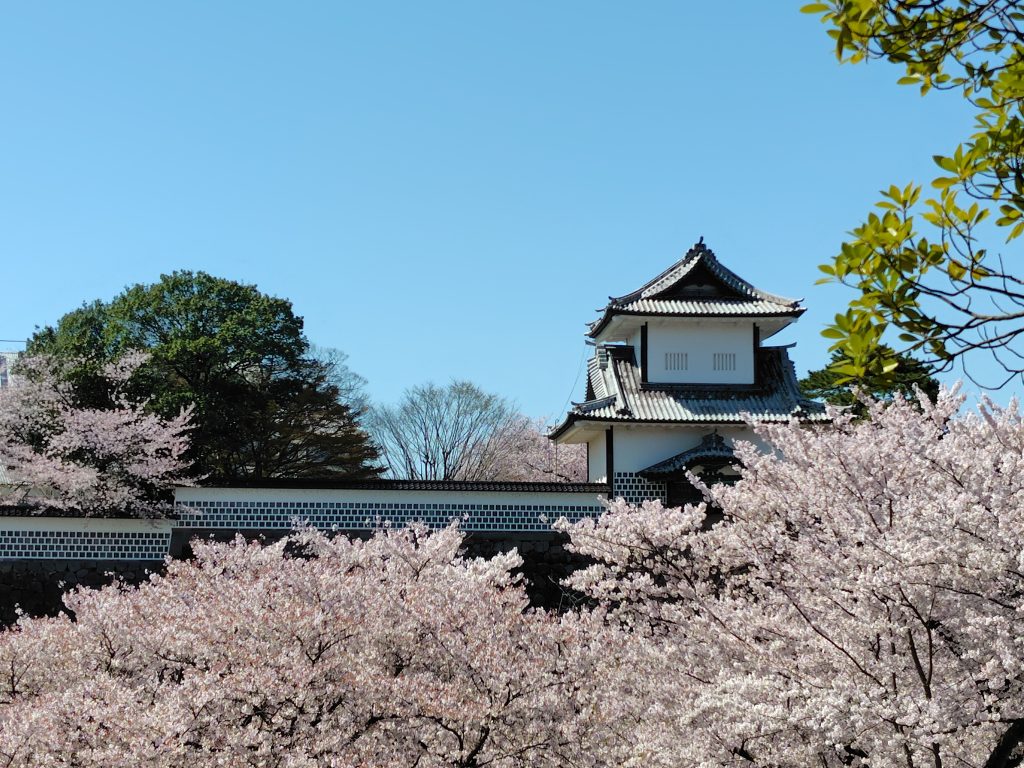お城と桜